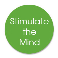 STimulate The Mind